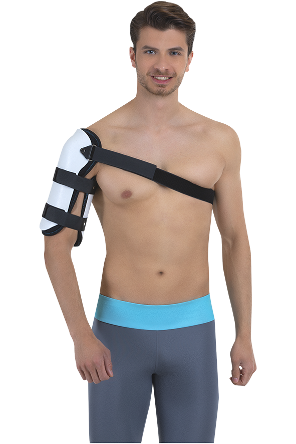 CODE 210 Humerus Breysi