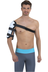 CODE 210 Humerus Breysi