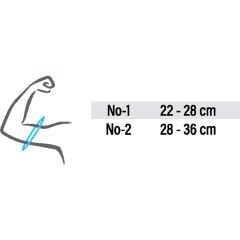 CODE 210 Humerus Breysi